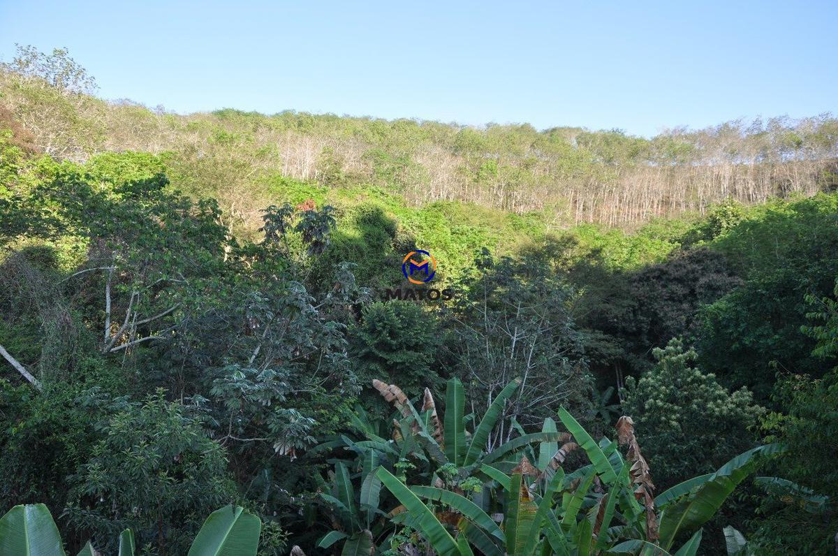 Lote, Ime Farage, 0 Quarto, 0 Vaga