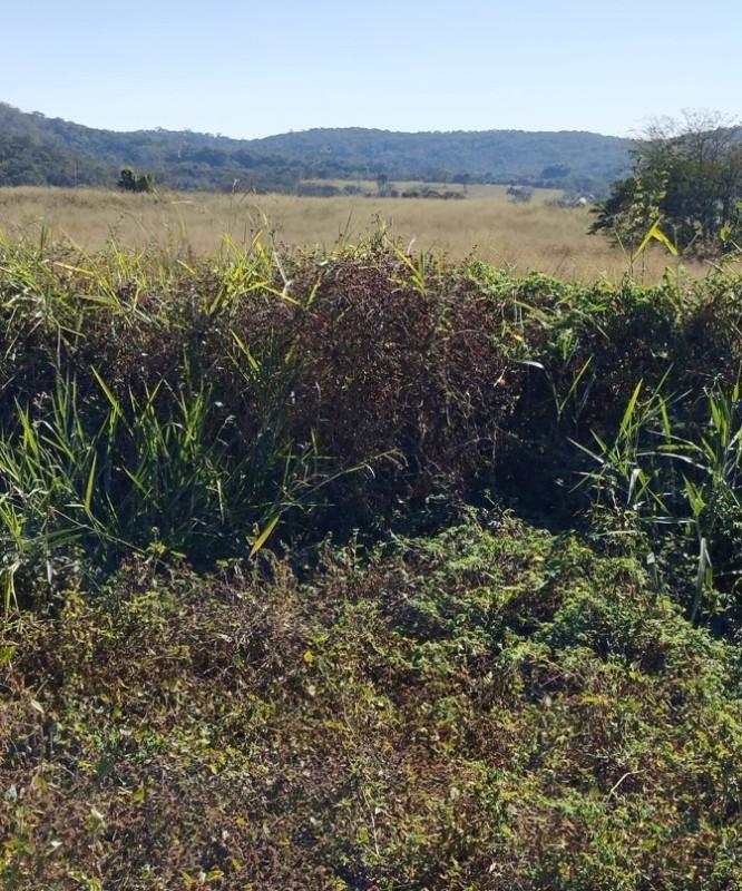 Fazenda, Área Rural de Pará de Minas, 0 Quarto, 0 Vaga