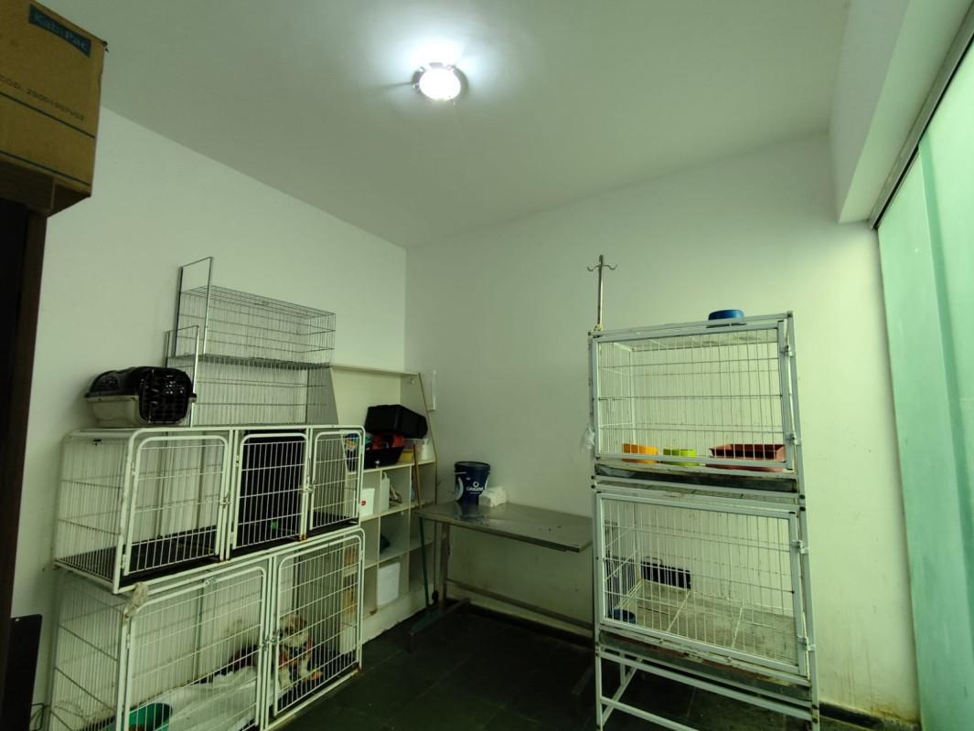 Casa, Carlos Prates, 4 Quartos, 7 Vagas