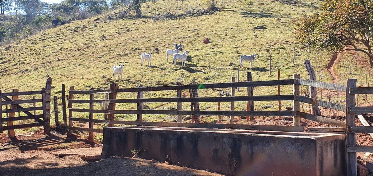 Fazenda, Centro, 2 Quartos, 0 Vaga