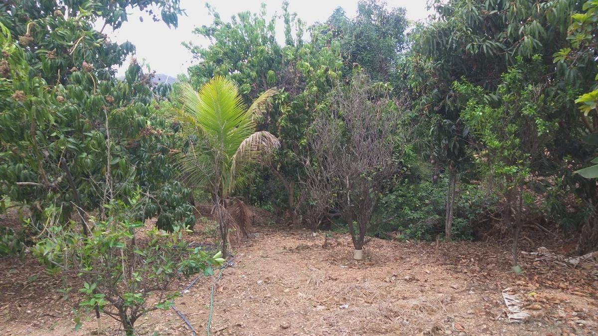 Lote, Palmital, 0 Quarto, 0 Vaga