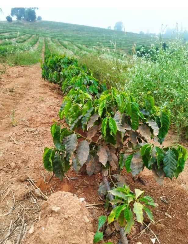Fazenda, Zona Rural, 0 Quarto, 0 Vaga