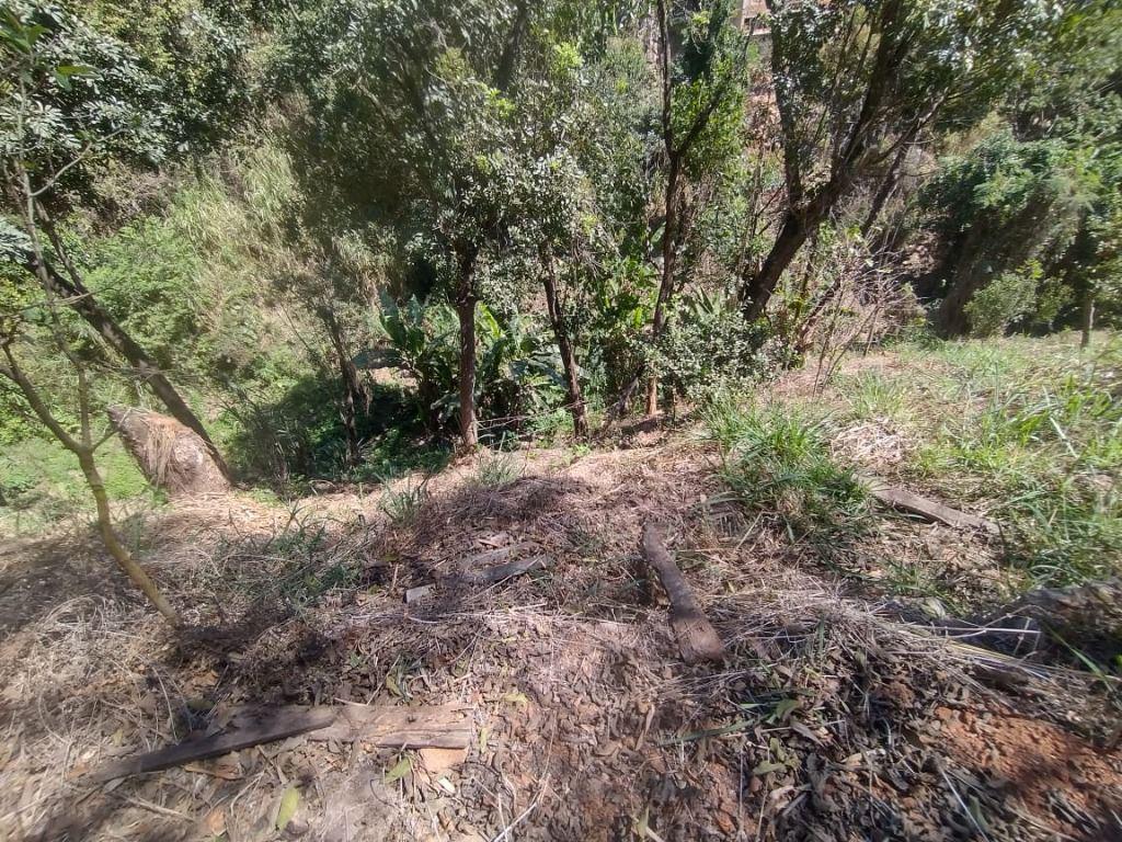 Lote, Esplanada, 0 Quarto, 0 Vaga