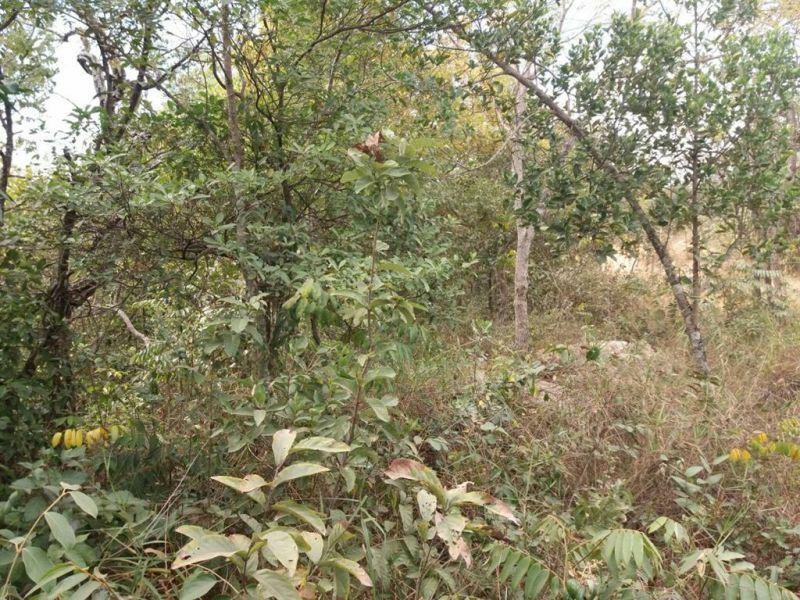 Lote, Ravena, 0 Quarto, 0 Vaga