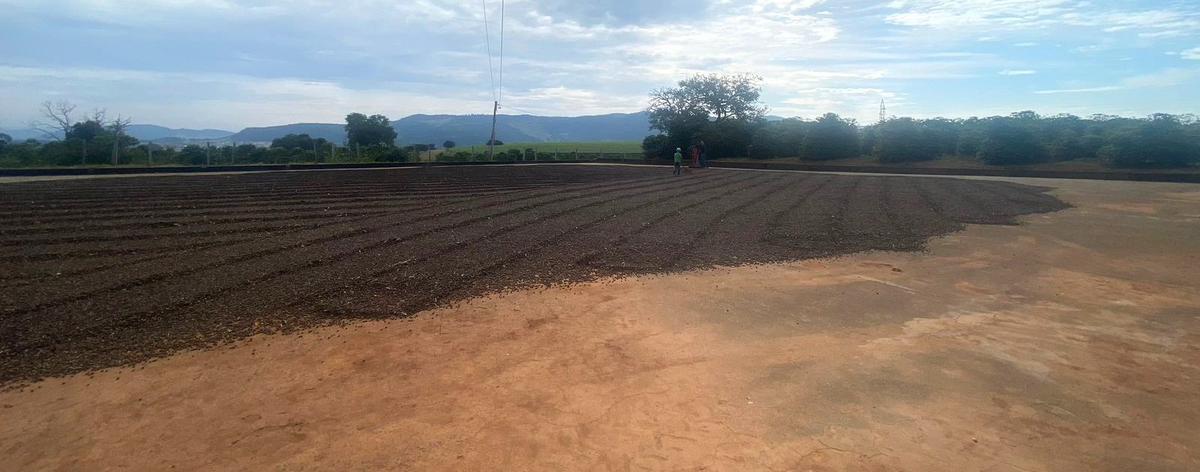 Fazenda, Zona Rural, 0 Quarto, 0 Vaga