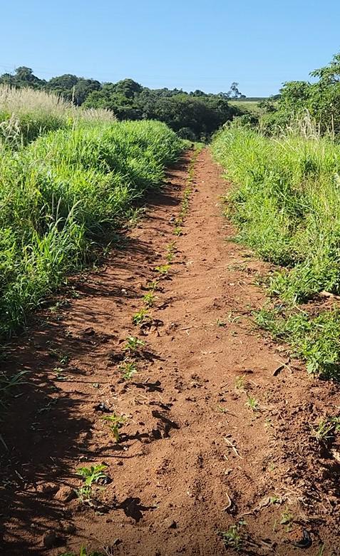 Fazenda, Zona Rural, 0 Quarto, 0 Vaga