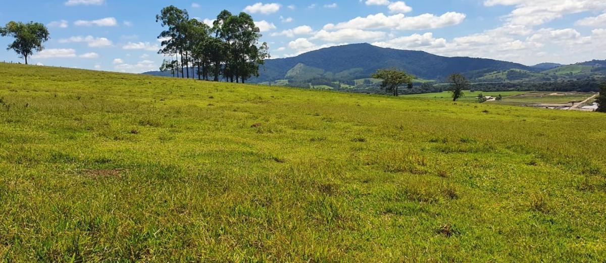 Fazenda, Centro, 4 Quartos, 2 Vagas, 1 Suíte