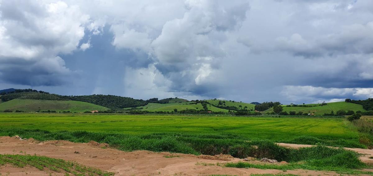 Fazenda, Centro, 1 Quarto, 1 Vaga, 1 Suíte