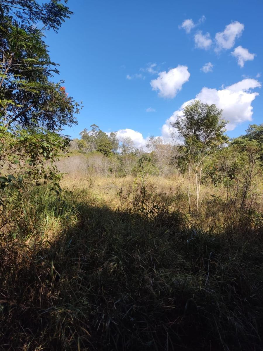 Lote, Centro, 0 Quarto, 0 Vaga