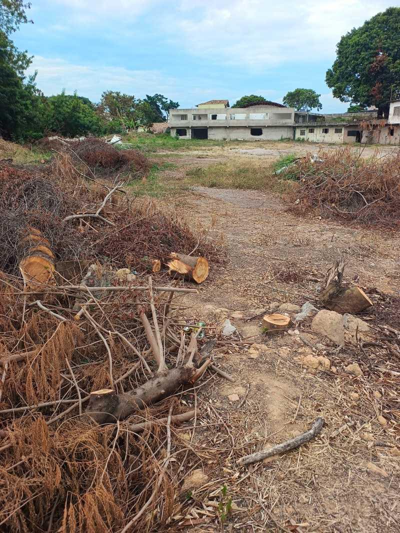 Lote, Fonte Grande, 0 Quarto, 0 Vaga