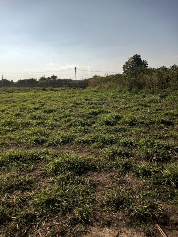 Lote, Bandeirinhas, 0 Quarto, 0 Vaga