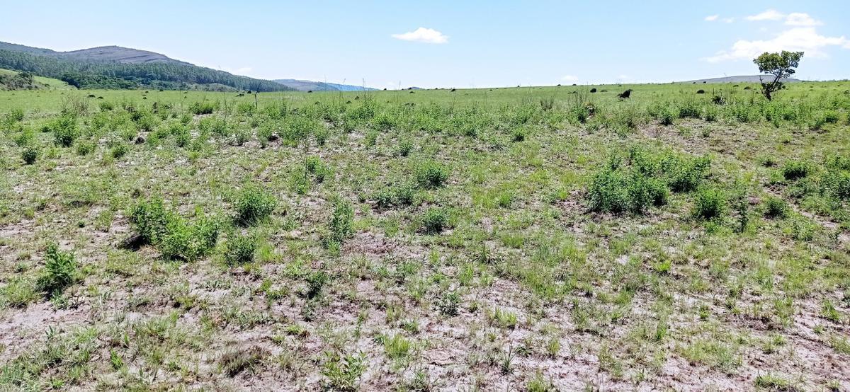 Fazenda, Zona Rural, 0 Quarto, 0 Vaga