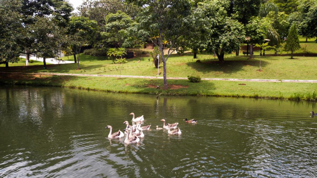 Lote, Condados da Lagoa, 0 Quarto, 0 Vaga