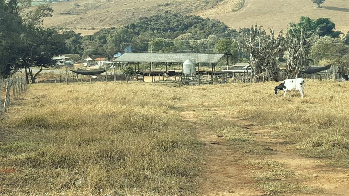 Fazenda, Centro, 1 Quarto, 1 Vaga, 1 Suíte