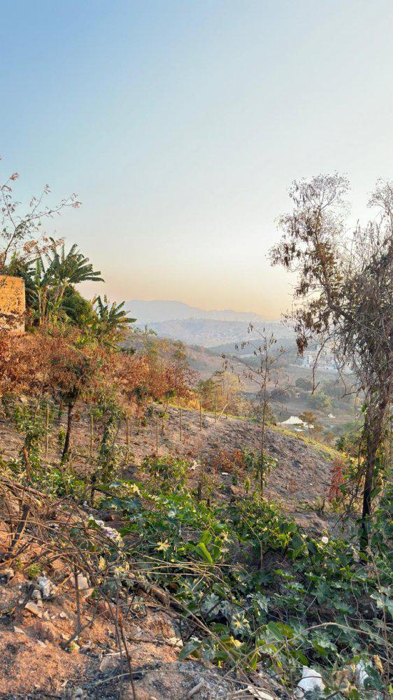 Lote, Masterville, 0 Quarto, 0 Vaga