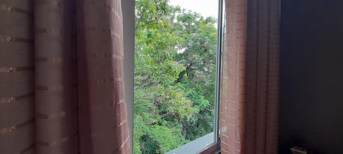 Apartamento, Cenáculo, 3 Quartos, 1 Vaga, 1 Suíte