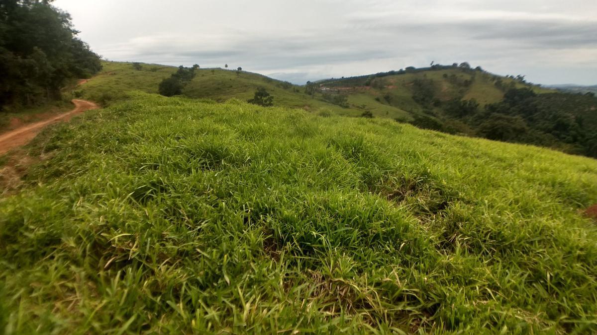 Fazenda, Zona Rural, 0 Quarto, 0 Vaga