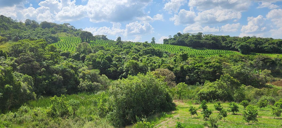 Fazenda, Zona Rural, 3 Quartos, 2 Vagas, 1 Suíte
