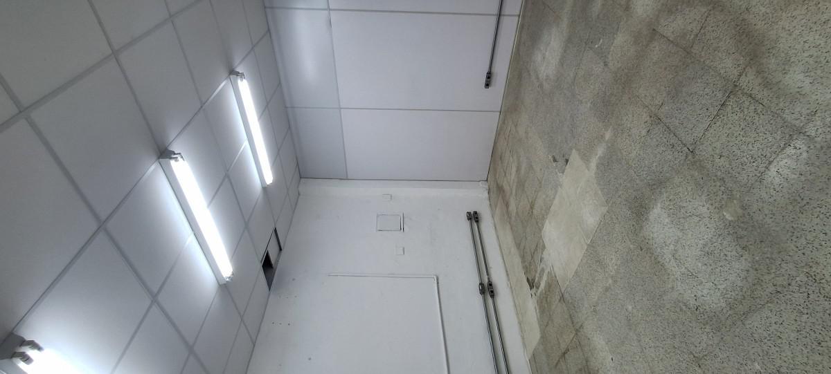 Galpão, Floresta, 0 Quarto, 6 Vagas