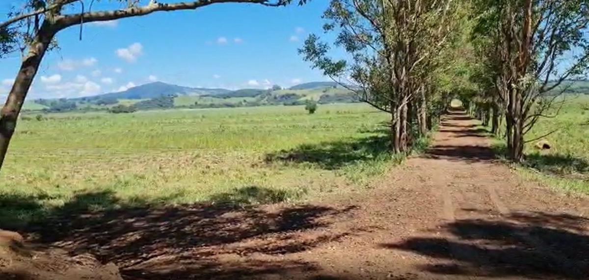 Fazenda, Centro, 0 Quarto, 0 Vaga