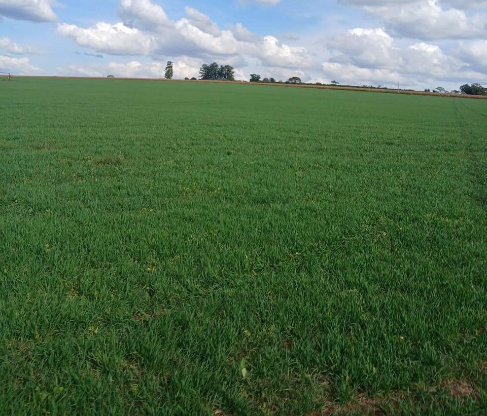 Fazenda, Zona Rural, 3 Quartos, 0 Vaga
