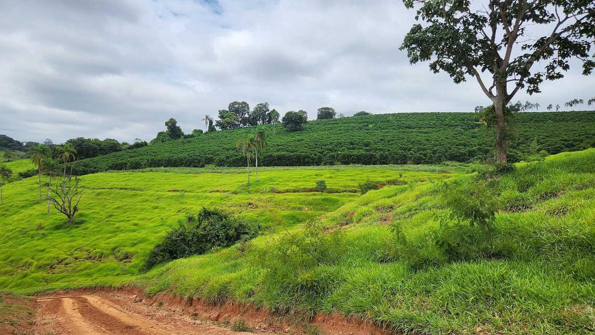 Fazenda, Zona Rural, 1 Quarto, 0 Vaga