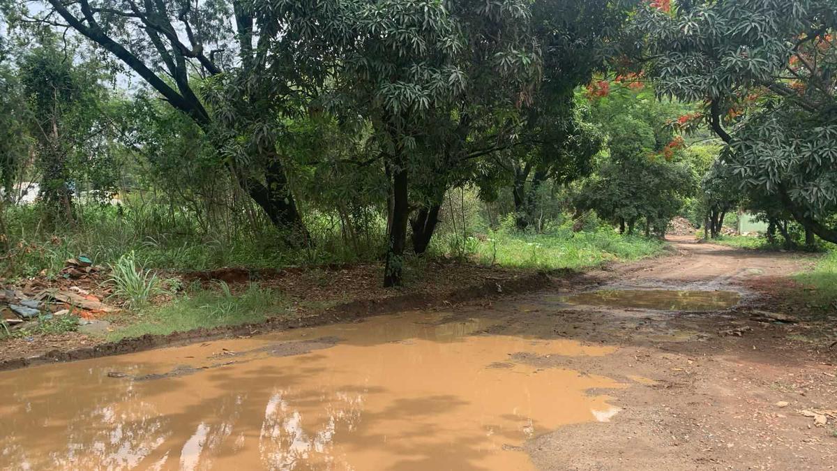 Lote, Centro, 0 Quarto, 0 Vaga