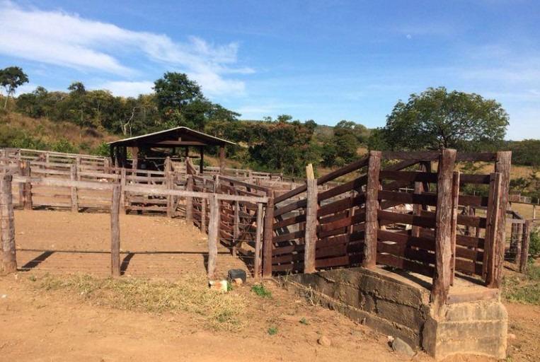 Fazenda, Centro, 4 Quartos, 1 Vaga