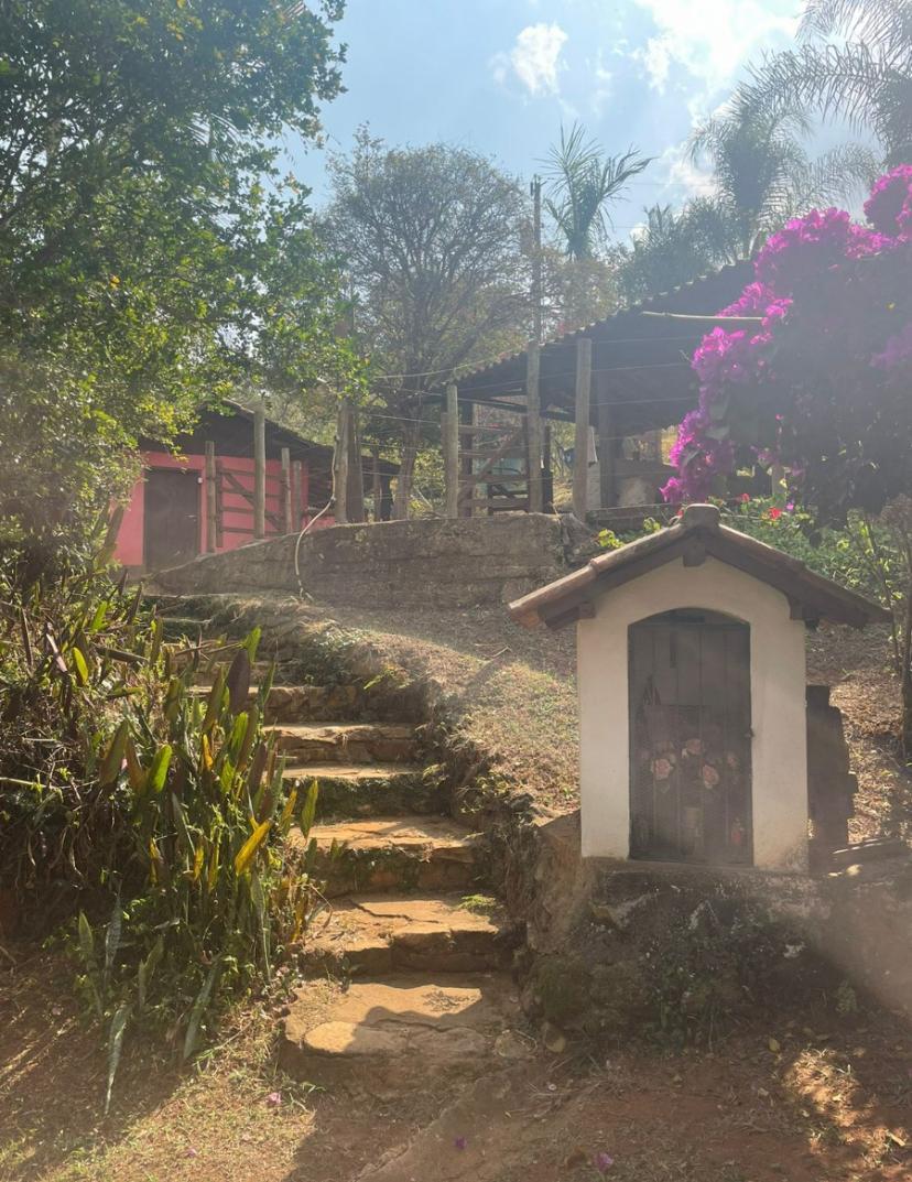 Fazenda, Centro, 4 Quartos, 10 Vagas