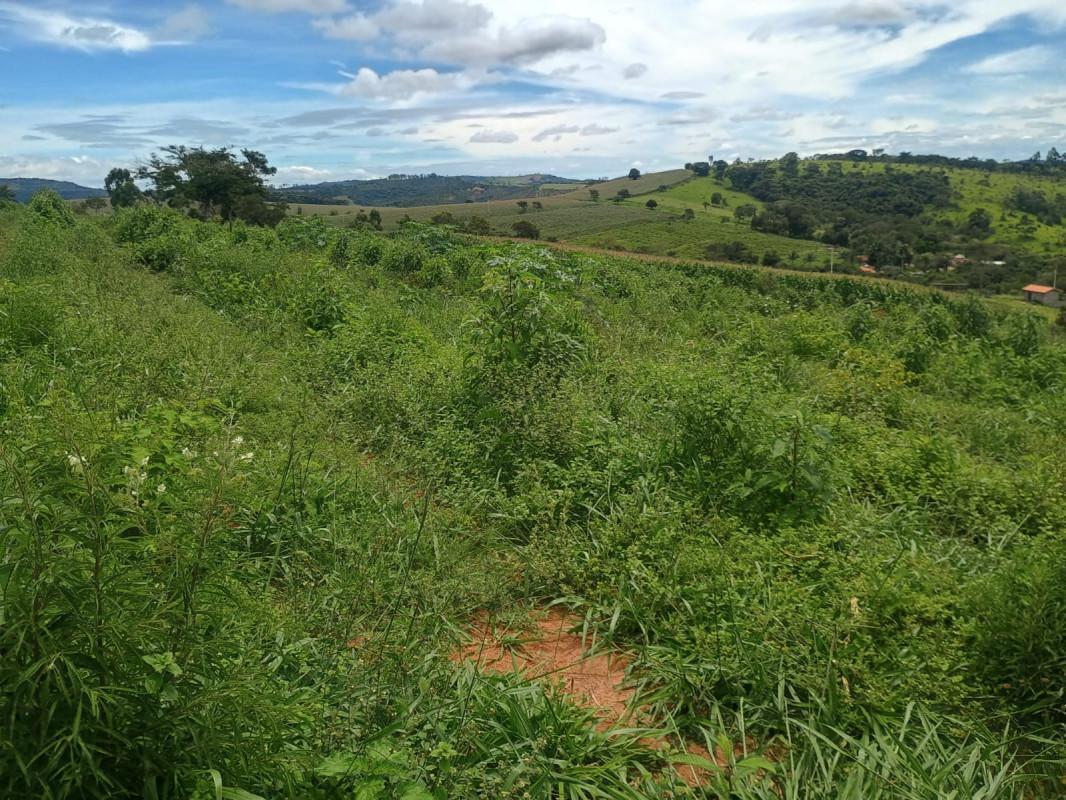 Fazenda, Zona Rural, 0 Quarto, 0 Vaga