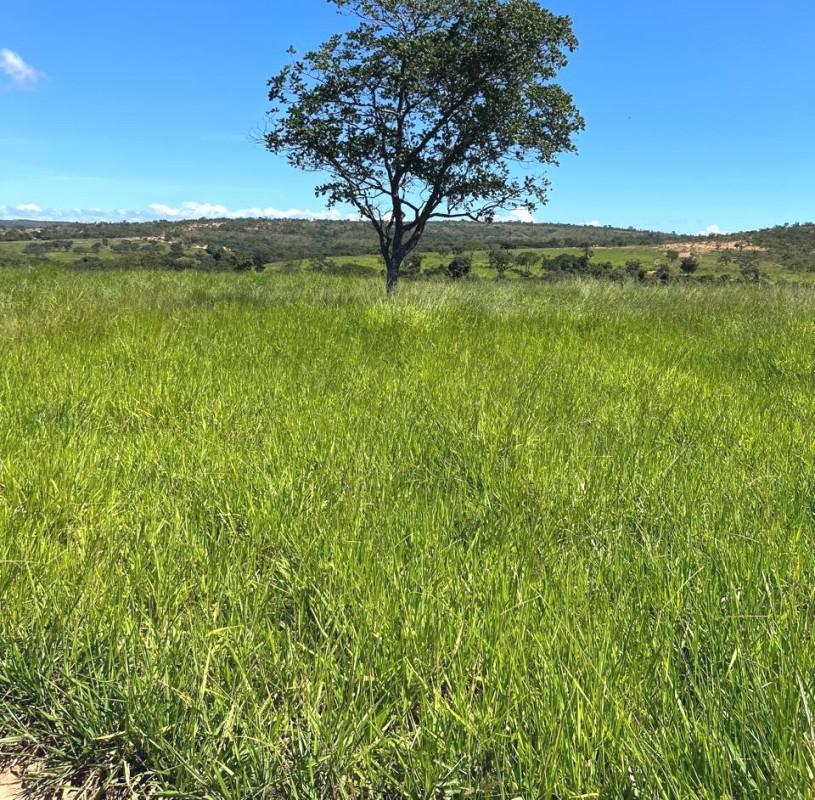 Fazenda, Centro, 4 Quartos, 2 Vagas