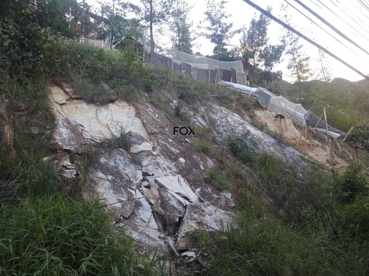 Lote, Vila Castela, 0 Quarto, 0 Vaga