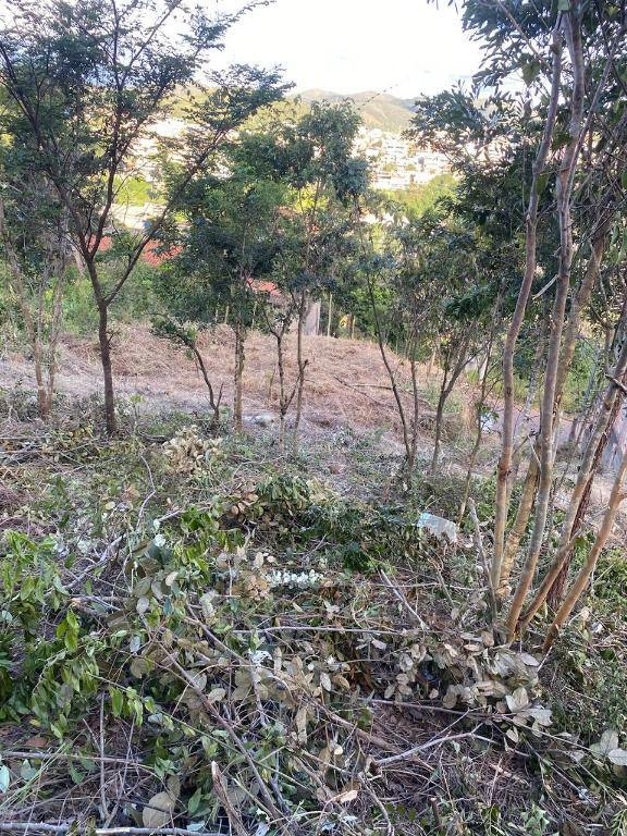Lote, Água Férrea, 0 Quarto, 0 Vaga