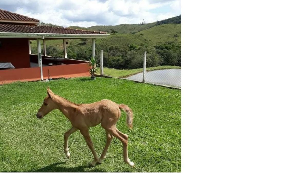 Fazenda, Zona Rural, 0 Quarto, 0 Vaga