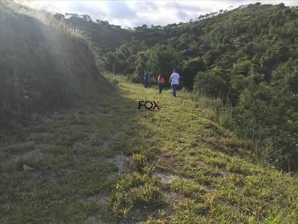 Lote, Nacional, 0 Quarto, 0 Vaga