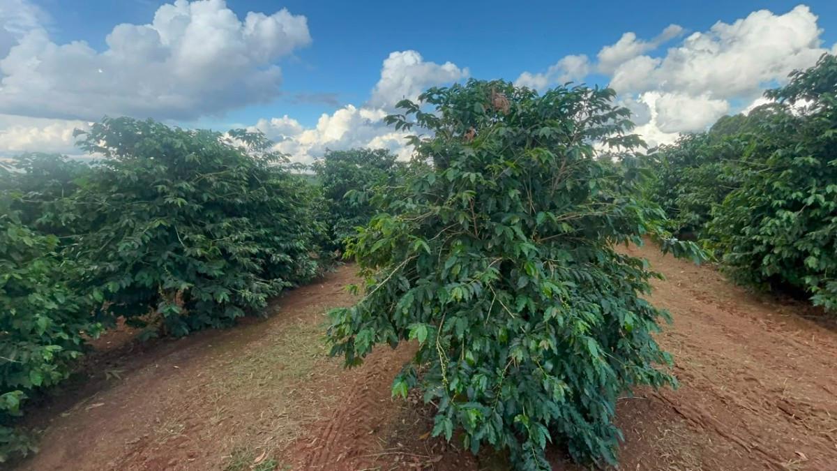 Fazenda, Zona Rural, 0 Quarto, 0 Vaga