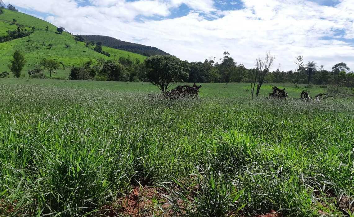 Fazenda, Zona Rural, 2 Quartos, 1 Vaga