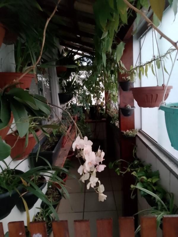 Cobertura, Sagrada Família, 3 Quartos, 2 Vagas, 1 Suíte