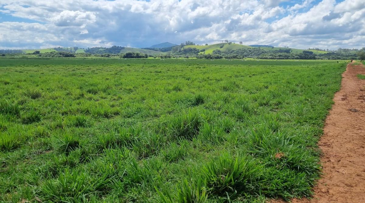 Fazenda, Centro, 0 Quarto, 0 Vaga