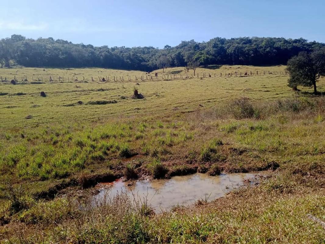 Fazenda, Centro, 0 Quarto, 0 Vaga