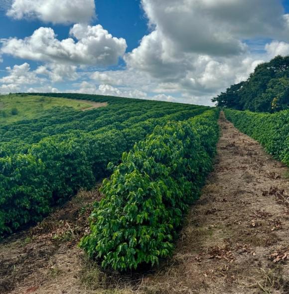Fazenda, Zona Rural, 2 Quartos, 0 Vaga