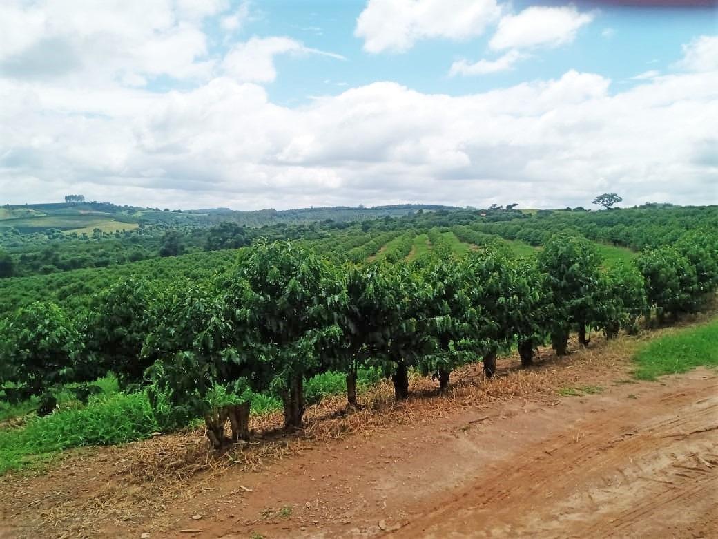 Fazenda, São Sebastião da Estrela, 1 Quarto, 1 Vaga, 1 Suíte