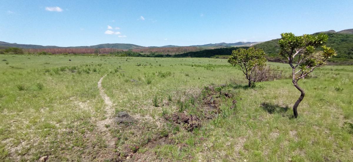 Fazenda, Zona Rural, 0 Quarto, 0 Vaga