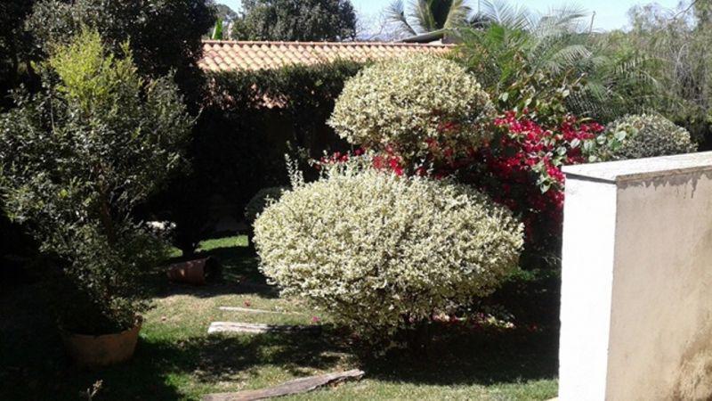 Casa, Braúnas, 4 Quartos, 6 Vagas, 1 Suíte