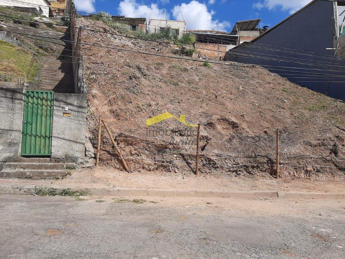 Lote, Palmeiras