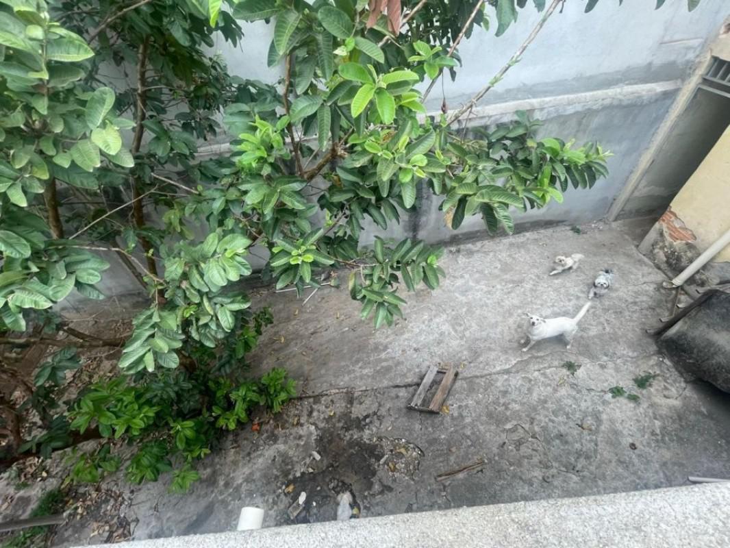 Casa, Riacho das Pedras, 3 Quartos, 2 Vagas