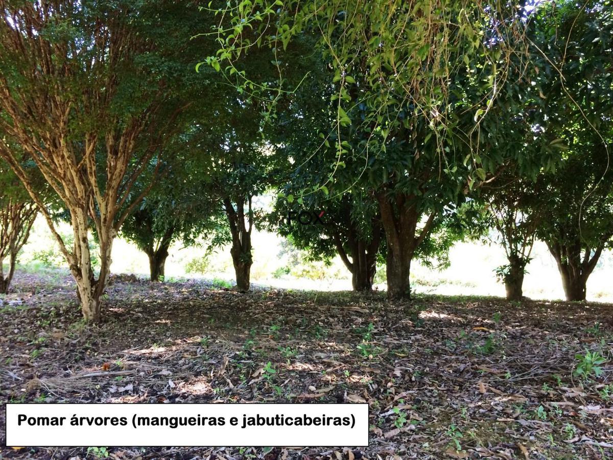 Fazenda, Inácia de Carvalho, 5 Quartos, 0 Vaga