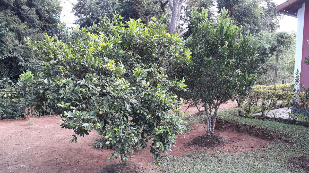 Hotel, Retiro do Chalé, 4 Quartos, 3 Vagas, 2 Suítes