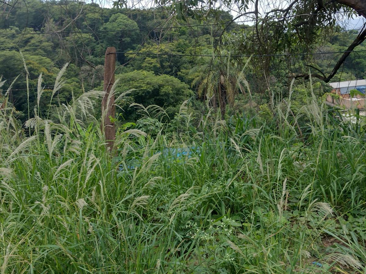 Lote, Zona Rural, 0 Quarto, 0 Vaga