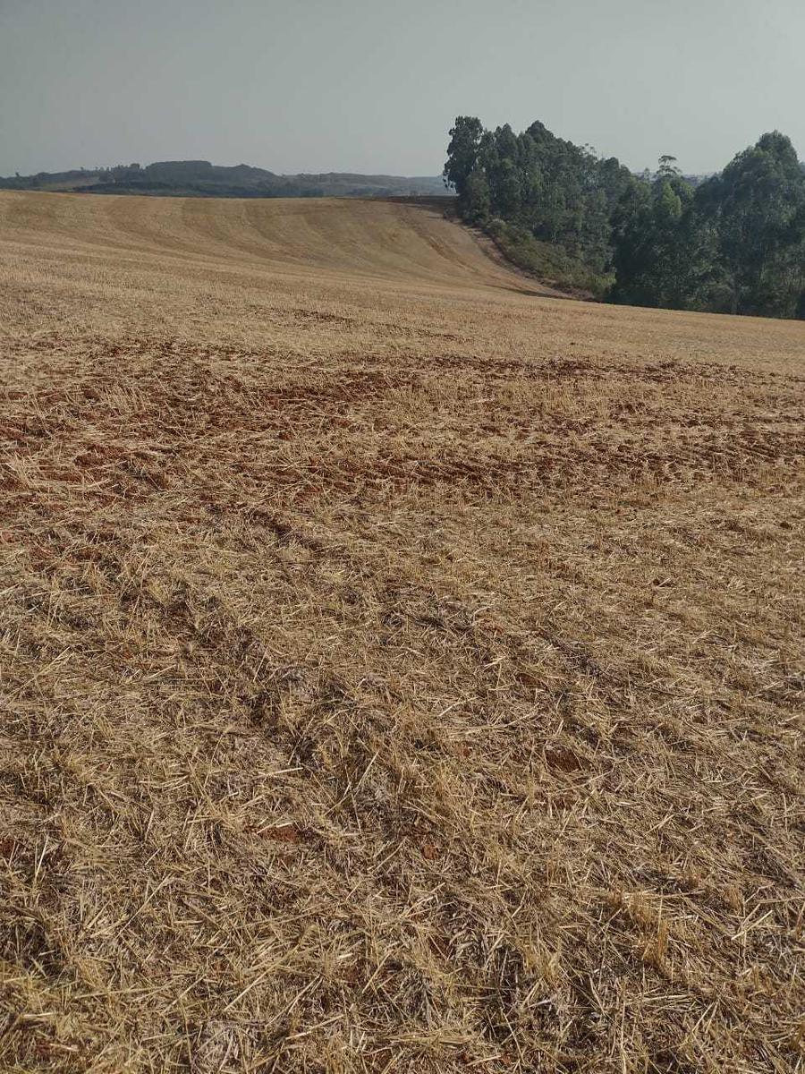 Fazenda, Zona Rural, 1 Quarto, 0 Vaga